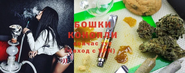 прущие грибы Коряжма